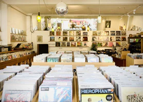 Your Ultimate Vinyl Record Haven